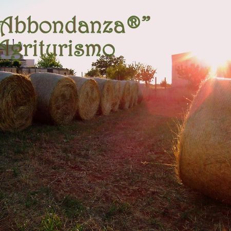 فيلا ألبيروبيللوفي Agriturismo Abbondanza المظهر الخارجي الصورة