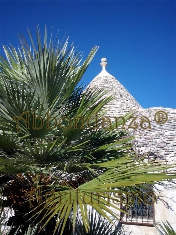 فيلا ألبيروبيللوفي Agriturismo Abbondanza المظهر الخارجي الصورة