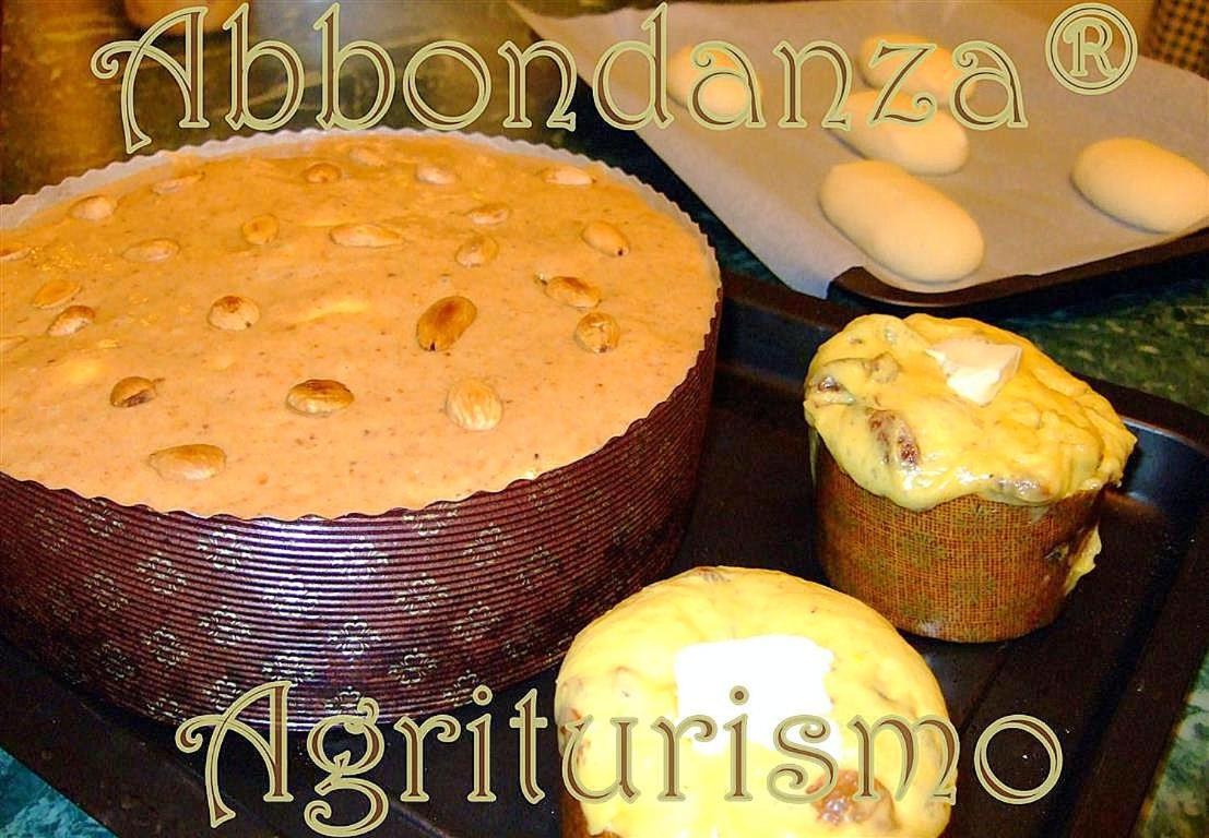 فيلا ألبيروبيللوفي Agriturismo Abbondanza المظهر الخارجي الصورة