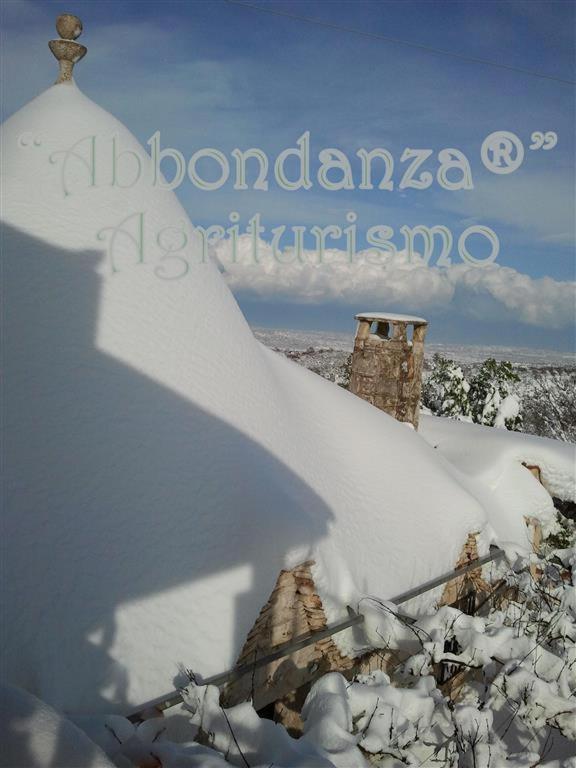 فيلا ألبيروبيللوفي Agriturismo Abbondanza المظهر الخارجي الصورة