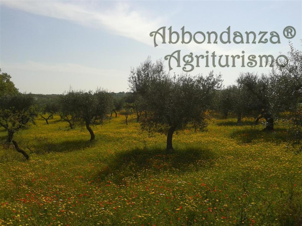 فيلا ألبيروبيللوفي Agriturismo Abbondanza المظهر الخارجي الصورة