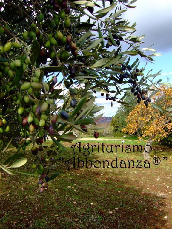 فيلا ألبيروبيللوفي Agriturismo Abbondanza المظهر الخارجي الصورة